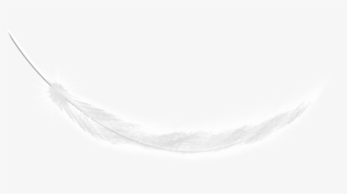 This Graphics Is White Feathers Fall Transparent About - Darkness, HD Png Download, Free Download