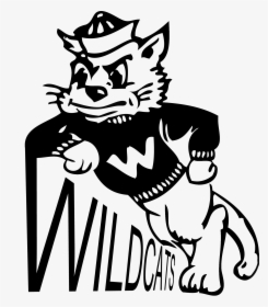 Willie The Wildcat Png - Cartoon Willie The Wildcat, Transparent Png, Free Download