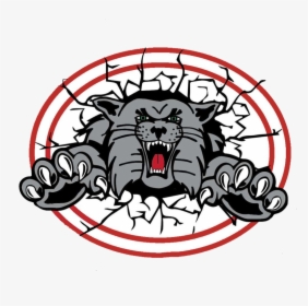 Canton South Wildcats - Canton South Wildcats Logo, HD Png Download, Free Download
