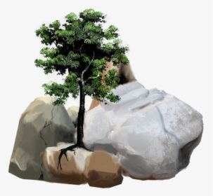 Stones, Rock, Stone, Nature, Pebble, Tree, Leaves - Tree, HD Png Download, Free Download