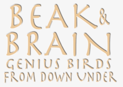 Beak & Brain - Calligraphy, HD Png Download, Free Download