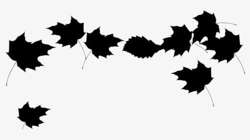 Leaves Falling From Trees Png Transparent Images - Autumn Leaves Transparent Background, Png Download, Free Download