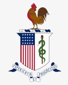Transparent Medic Png - Us Army Medical Corps Crest, Png Download, Free Download