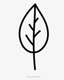 Tree Leaf Coloring Page - Drawing, HD Png Download, Free Download