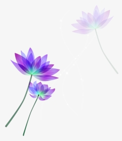 Lotus Vector Free Download Clipart , Png Download - Lotus Vector Free Download, Transparent Png, Free Download