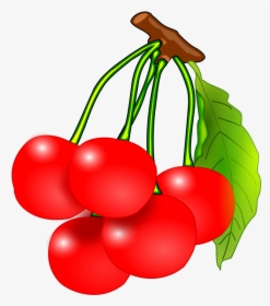 Free Fruit Clipart Animations And Vectors 2 Image - Cherry Clip Art, HD Png Download, Free Download
