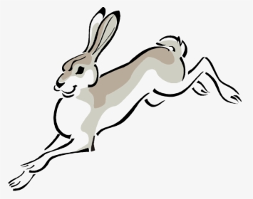 Free Rabbit Clipart - Jack Rabbit Clipart Free, HD Png Download, Free Download