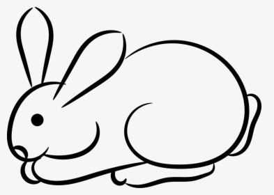 Art,rabits And Hares,monochrome Photography - Rabbit Black And White Png, Transparent Png, Free Download