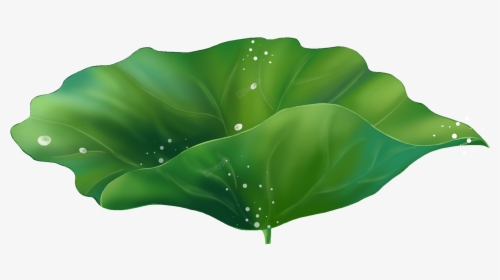 Lotus Leaf Vector Png, Transparent Png, Free Download