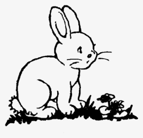 Bunny Clipart Printable - Cliparts Of Black And White Rabbit, HD Png Download, Free Download