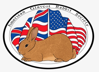Domestic Rabbit Clipart , Png Download - Domestic Rabbit, Transparent Png, Free Download