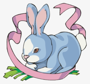 Little Grey Bunny - Animals That Hop Clipart, HD Png Download, Free Download
