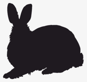 Domestic Rabbit Clipart Domestic Rabbit Hare Whiskers - Free Png Rabbit Silhouette, Transparent Png, Free Download