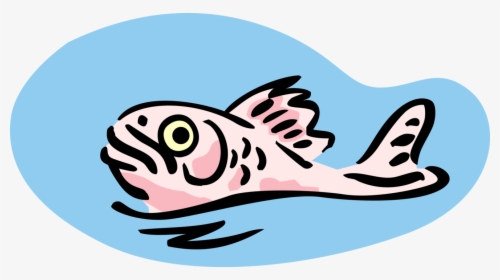 Vector Illustration Of Surfacing Fish Swims On Water, HD Png Download, Free Download