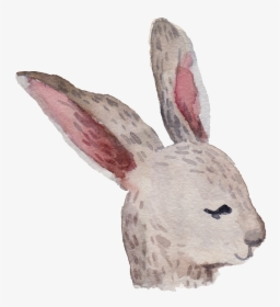 Cartoon Rabbit Png - Domestic Rabbit, Transparent Png, Free Download