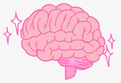 Brain Icon, HD Png Download, Free Download