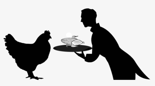 Chicken Silhouette Png - Black Silhouette Chicken Clipart, Transparent Png, Free Download