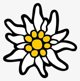 Edelweiss Png - Edelweiß Png, Transparent Png, Free Download