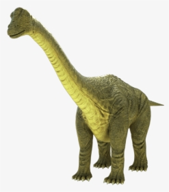 Brontosaurus Apatosaurus - Brontosaurus Png, Transparent Png, Free Download
