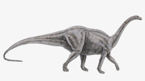 #dinosaur #brontosaurus I Think - Brontosaurus Png, Transparent Png, Free Download