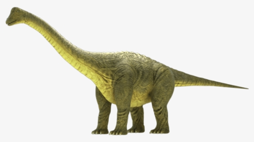 Brontosaurus Apatosaurus 3d Model - Brontosaurus Png, Transparent Png, Free Download