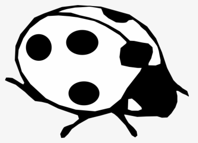 Thumb Image - Lady Beetle Black And White, HD Png Download, Free Download