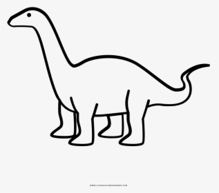 Brontosaurus Coloring Page - Brontosaurus Drawing, HD Png Download, Free Download