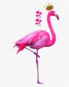 #flamingo #flamenco #animals #ftestickers #stickers - Flamingo Png, Transparent Png, Free Download