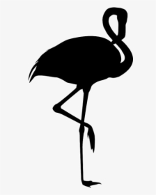 Transparent Flamingo Clipart Png - Black And White Flamingo, Png Download, Free Download
