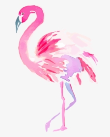 Flamingo Clipart Png - Greater Flamingo, Transparent Png, Free Download