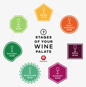 The 7 Stages Of Your Wine Palate By Wine Folly - Wine Palate, HD Png Download, Free Download