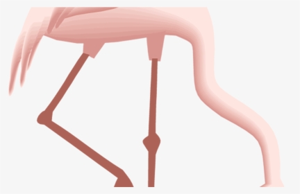 Free Flamingo Clipart - Clipart Flamingo Gif, HD Png Download, Free Download