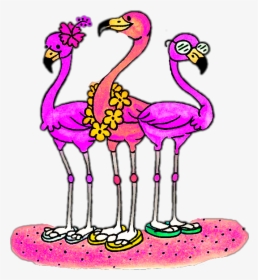 Flamingo Clipart Beach - Beach Flamingo Clipart, HD Png Download, Free Download