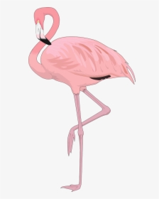 Free Flamingo Clip Art Flamingo4 , Png Download - Flamingo Png, Transparent Png, Free Download