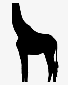 Giraffe Silhouette Onlinelabels Clip Art 3 Music Clipart - Transparent Background Giraffe Silhouette Png, Png Download, Free Download
