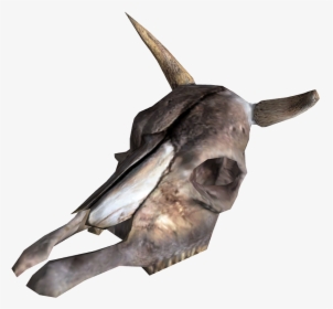 Brahmin Skull - Antler Fallout New Vegas, HD Png Download, Free Download