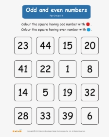 Odd And Even Numbers Worksheet - Odd And Even Numbers Worksheet For Preschool, HD Png Download, Free Download