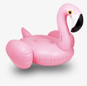 Transparent Floatie Png - Flamingo Float Transparent Background, Png Download, Free Download