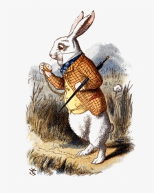 White Rabbit Alice In Wonderland Book, HD Png Download, Free Download