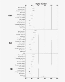 Document, HD Png Download, Free Download