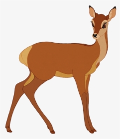 White-tailed Deer Musk Deers Antler Gazelle - Roe Deer, HD Png Download, Free Download