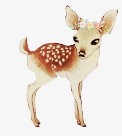 Baby Deer @scribblehandsfreetoedit - Deer Drawing Baby, HD Png Download, Free Download