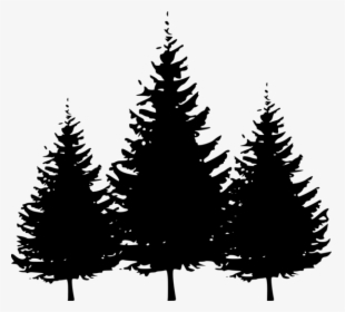 Silhouettes - Vector Pine Tree Silhouette, HD Png Download, Free Download