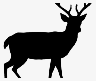 Buck Clipart Baby Deer - Deer Silhouette Png, Transparent Png, Free Download