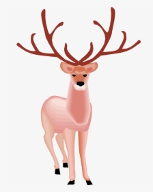 Free Deer Clipart - Grand Cerf, HD Png Download, Free Download