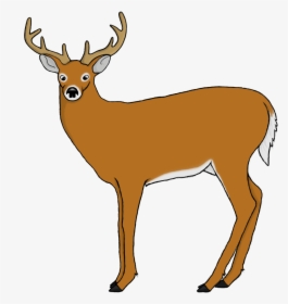 Deer Vs3 - Clip Art, HD Png Download, Free Download