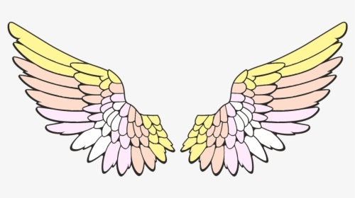 Angel Wings Png Clipart, Transparent Png, Free Download