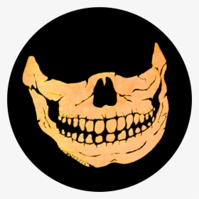 Skull, HD Png Download, Free Download