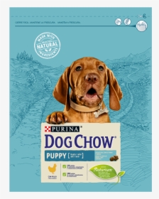Purina Dog Chow Puppy, HD Png Download, Free Download