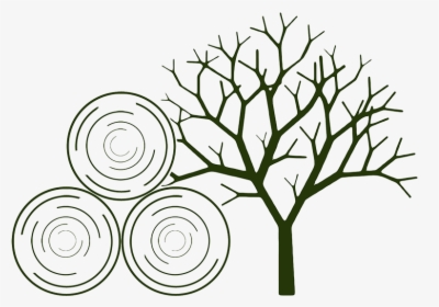 Dead Tree Silhouette Clipart , Png Download - Wooden Tree Jewellery Stand Diy, Transparent Png, Free Download